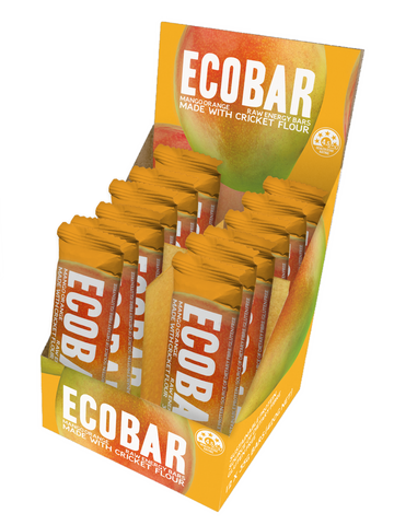 Mango Orange Raw Energy Bars 12 Pack
